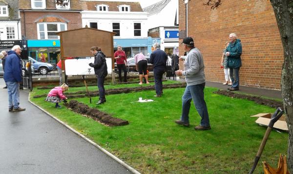 Lymington Rotary Crocus Planting