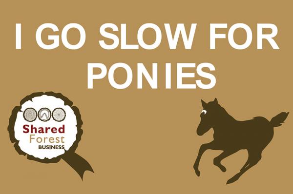 I Go Slow for Ponies